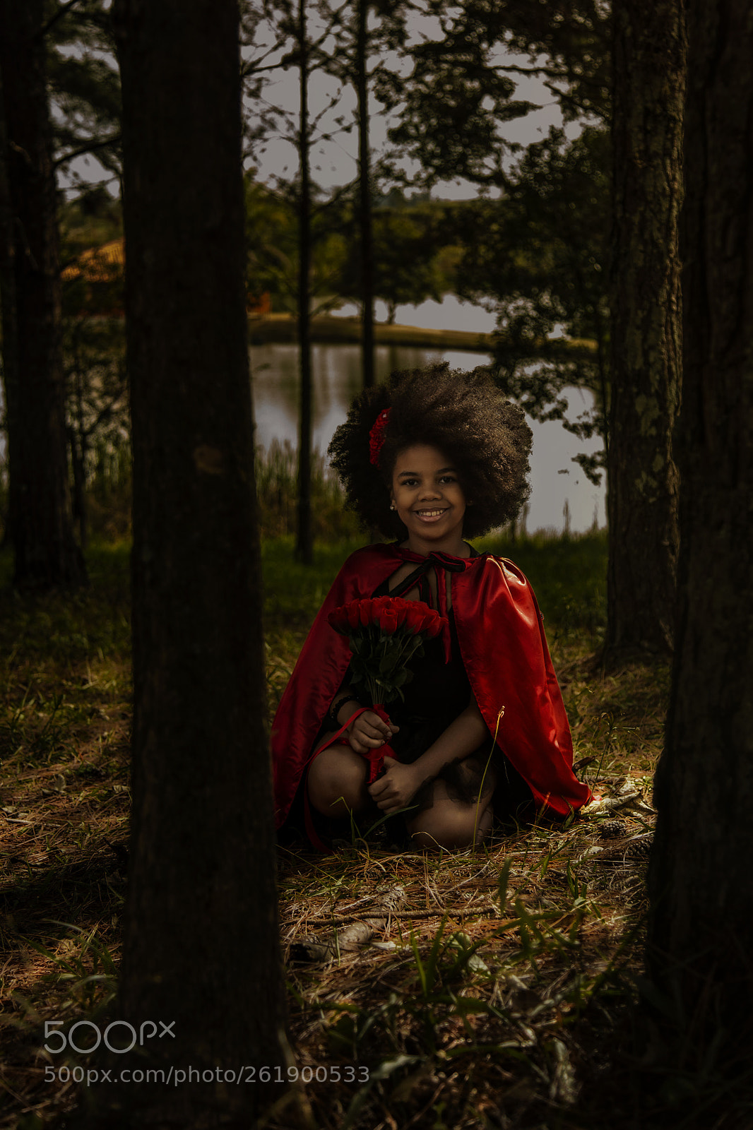 Canon EOS 6D sample photo. Wood red photography