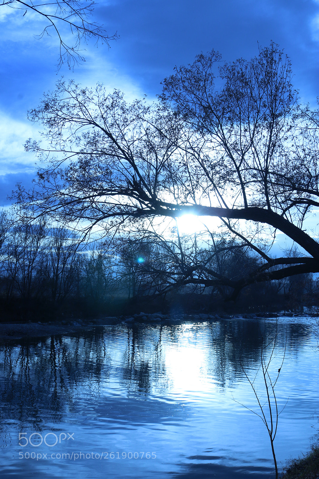 Canon EOS 70D sample photo. Img photography