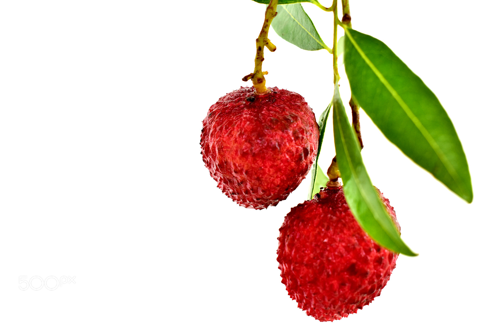 Nikon D3400 sample photo. Delicious lychee photography
