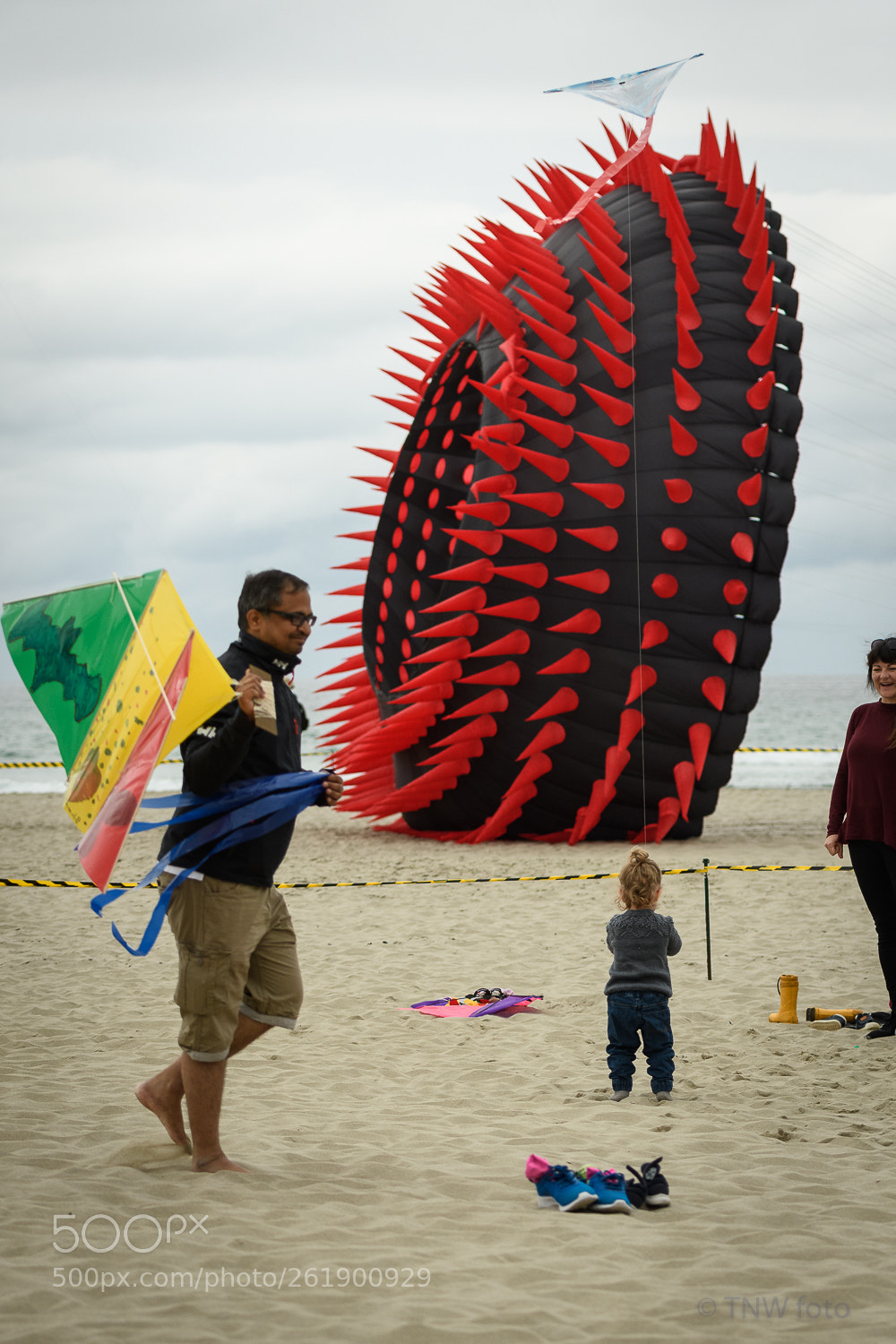 Nikon D500 sample photo. Start young with dragons photography
