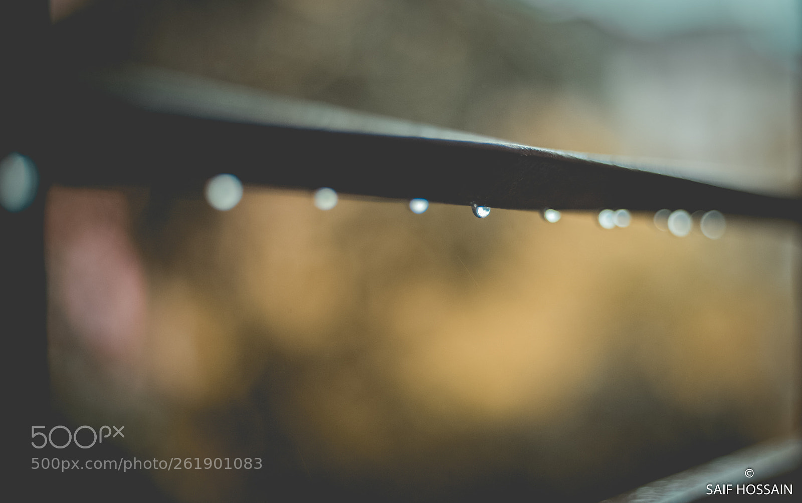 Canon EOS 6D sample photo. It's raining, that's nice.. photography