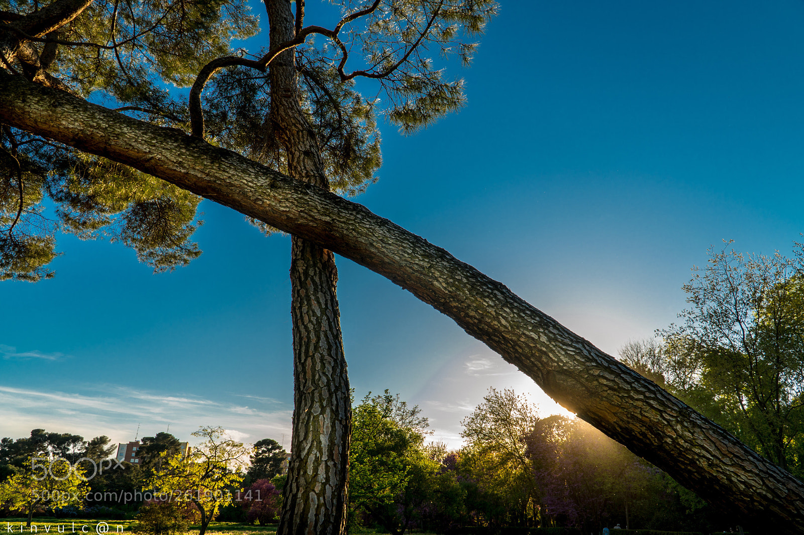 Sony a6300 sample photo. Quinta los molinos madrid photography