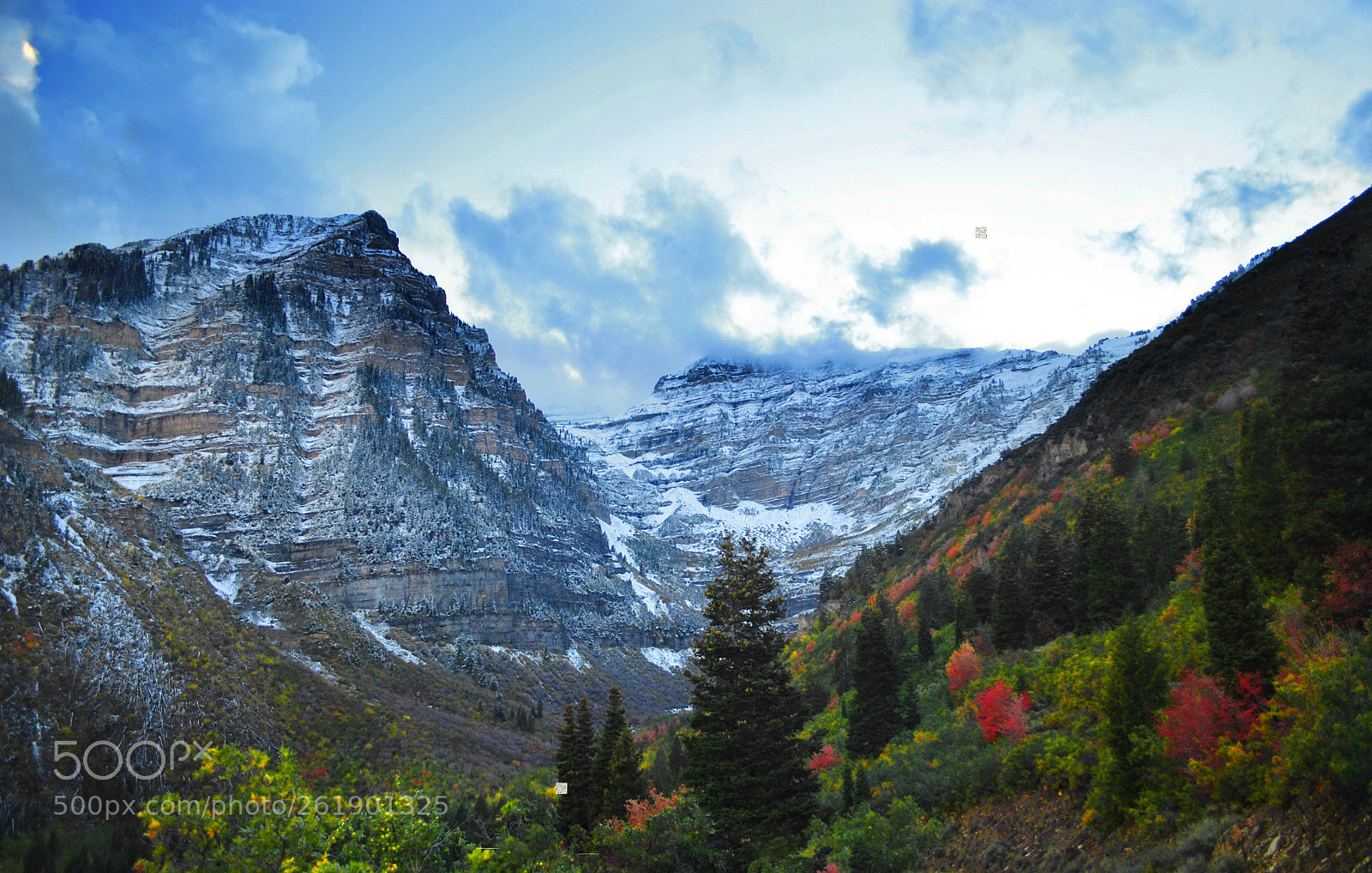 Nikon D3000 sample photo. Mt timpanogos in autumn photography
