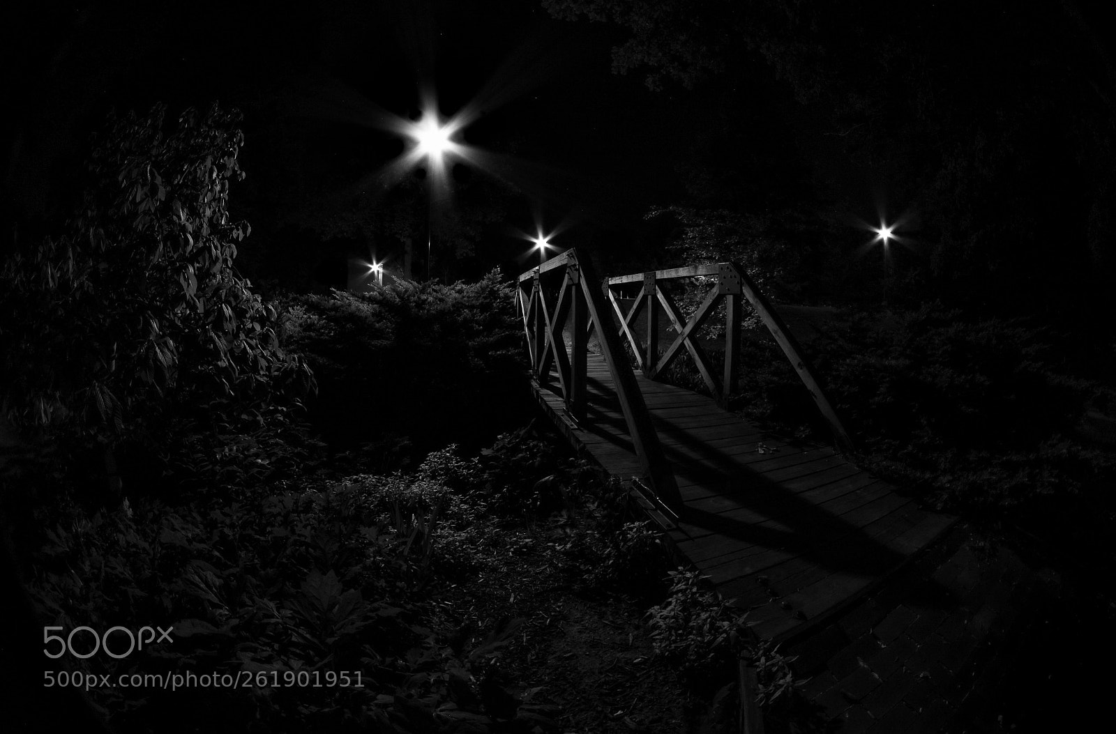 Canon EOS 70D sample photo. Artificial starry night photography