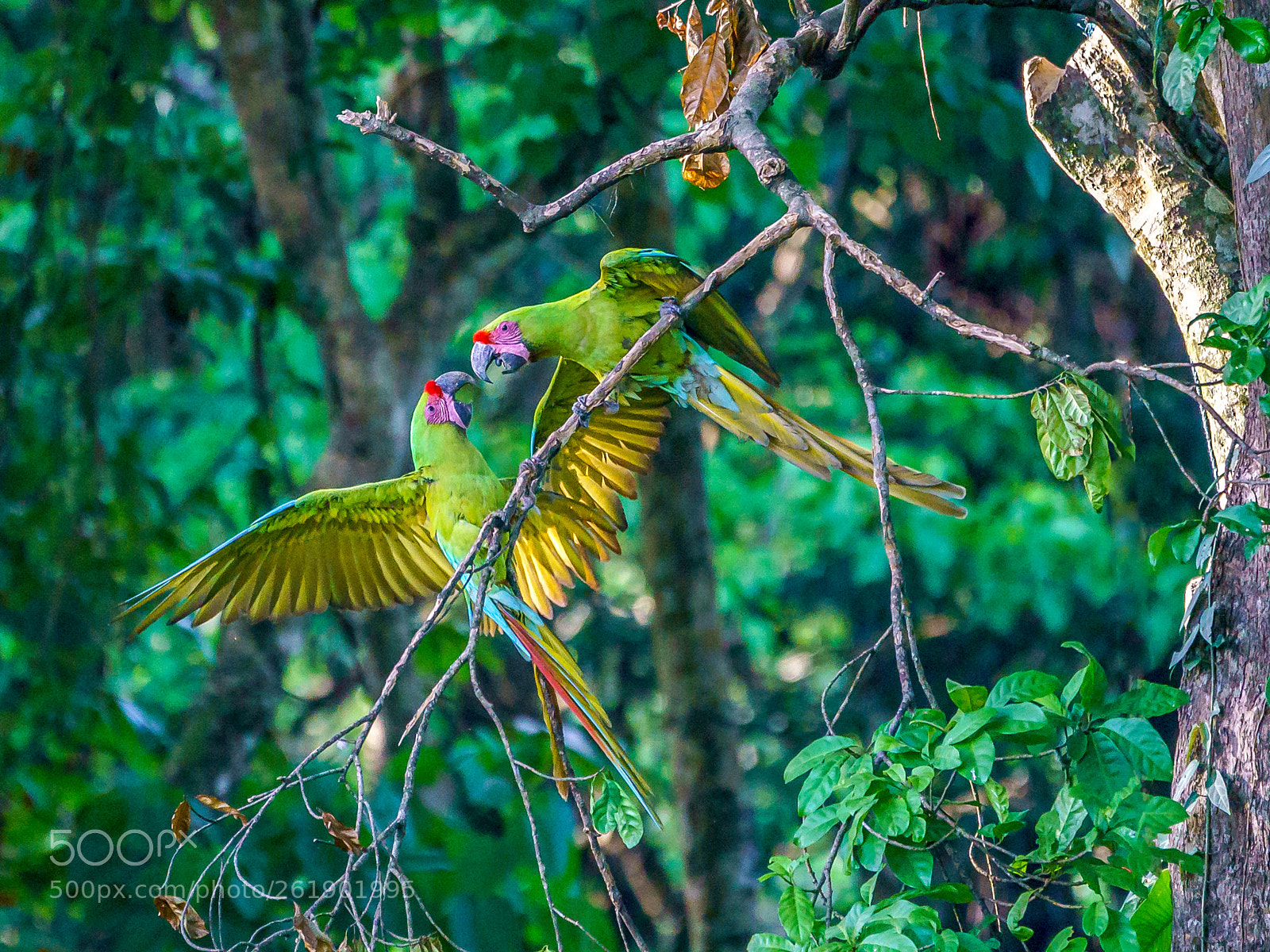 Sony a9 sample photo. Quarrel photography