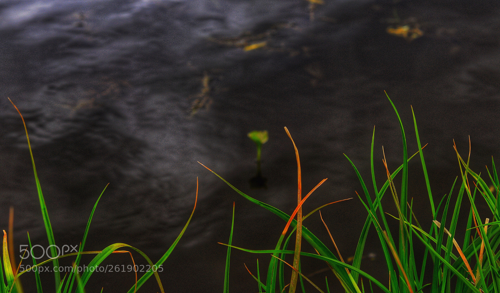 Canon EOS 77D (EOS 9000D / EOS 770D) sample photo. Cold waters of the photography
