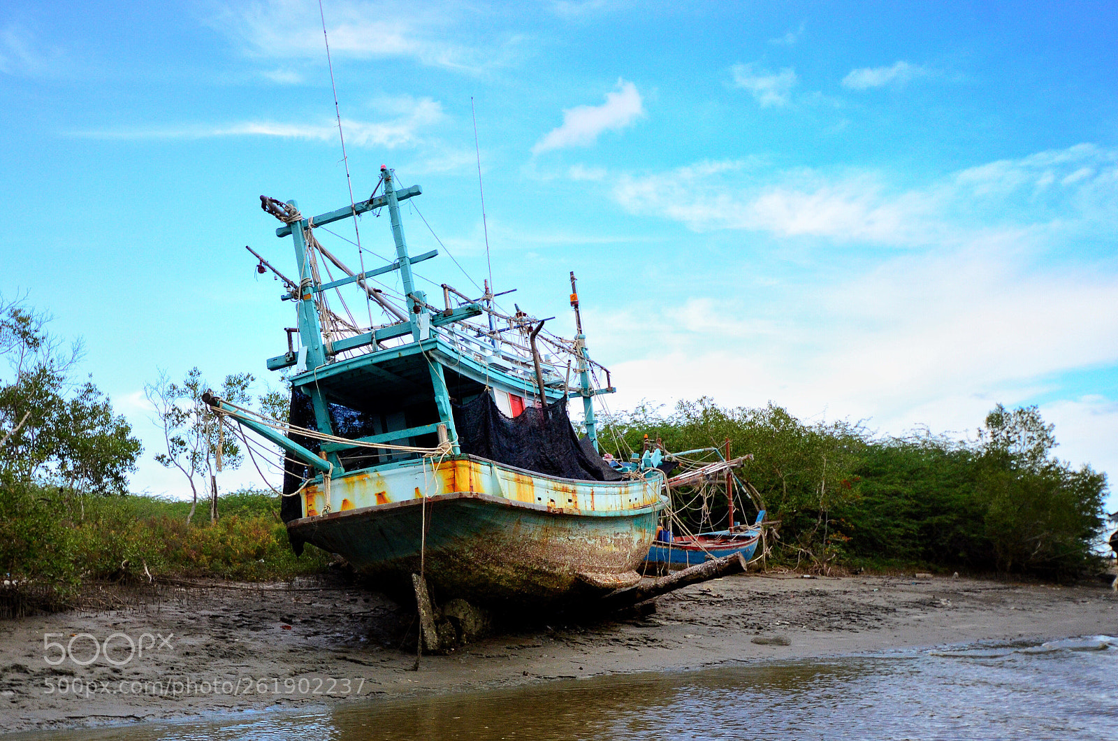 Nikon D7000 sample photo. Untitled photography