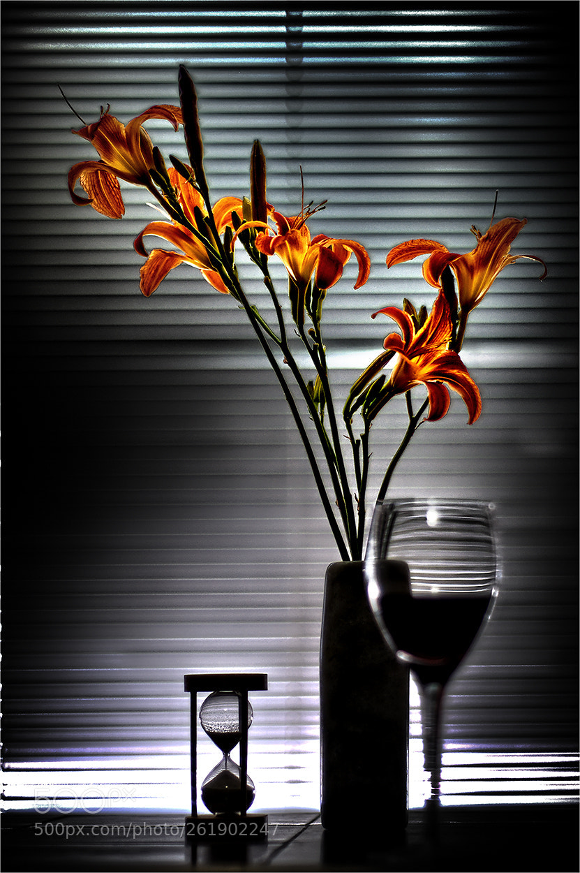Nikon D90 sample photo. ....... photography
