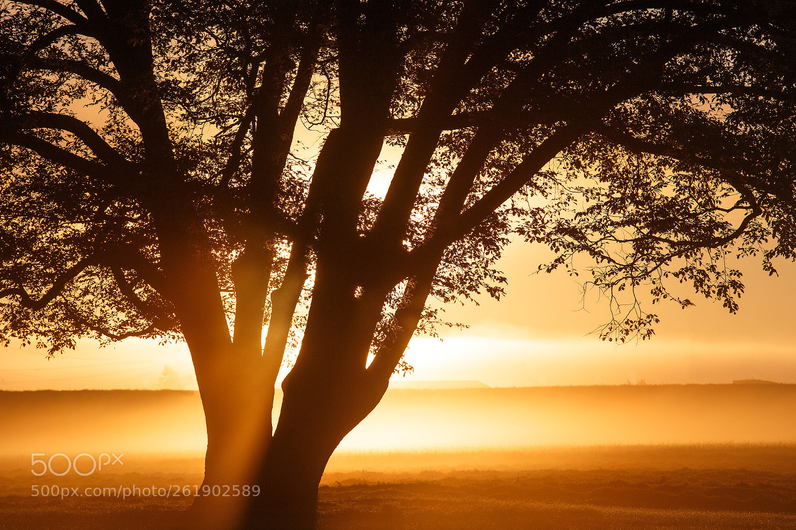 Canon EOS 6D sample photo. Sunbeams photography
