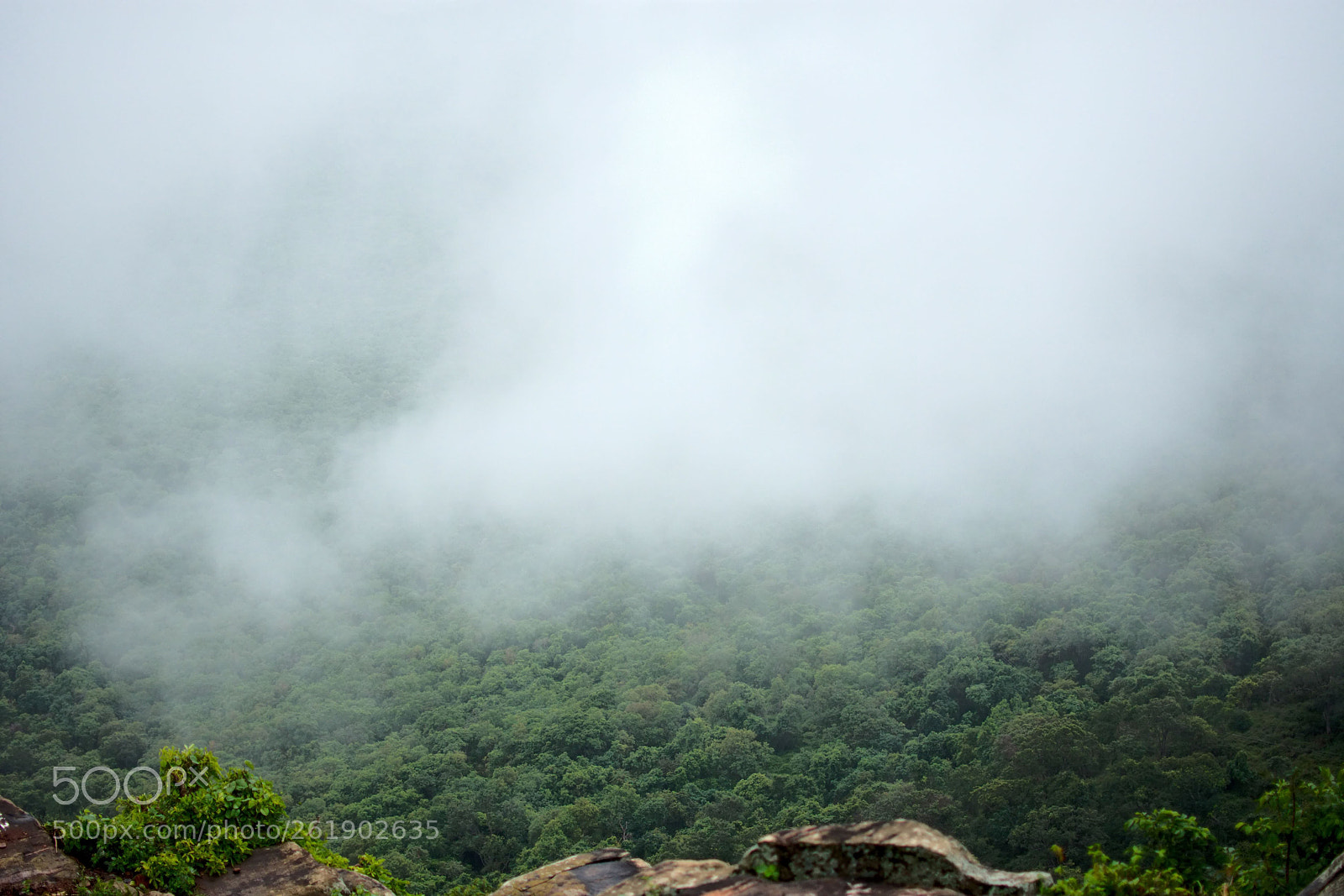 Nikon D7200 sample photo. Looking down the rain photography