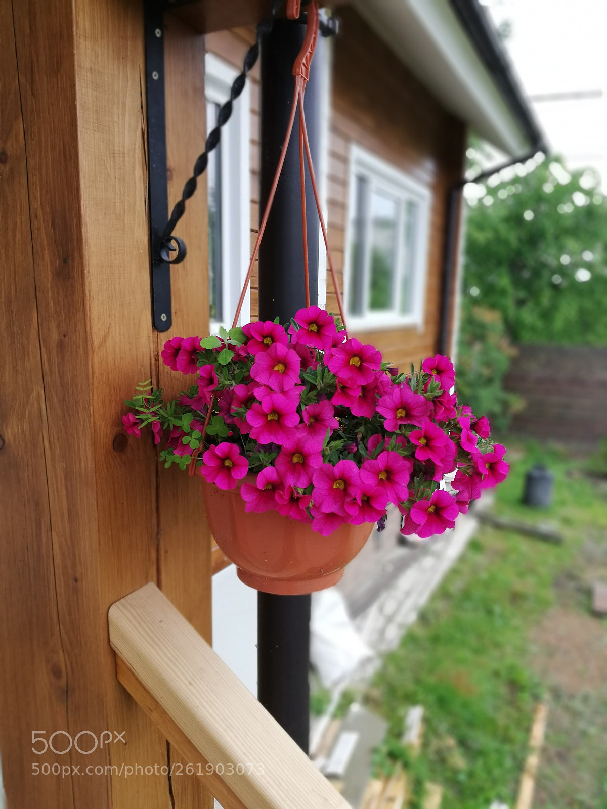 HUAWEI P20 lite sample photo. Untitled photography
