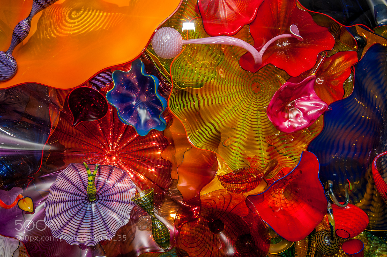 Nikon D300 sample photo. Chihuly glass ceiling photography