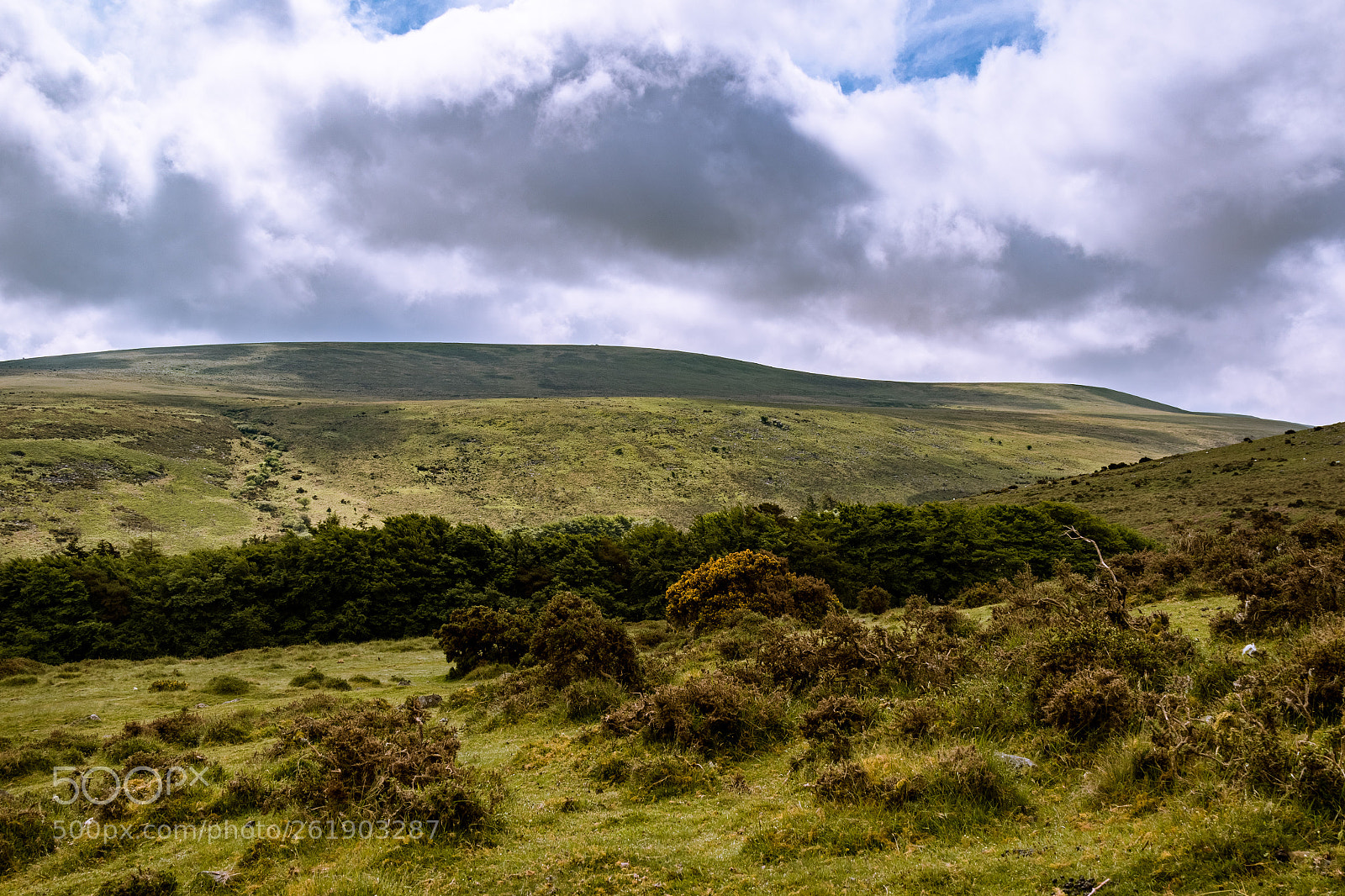 Canon EOS 7D Mark II sample photo. Dartmoor national park photography