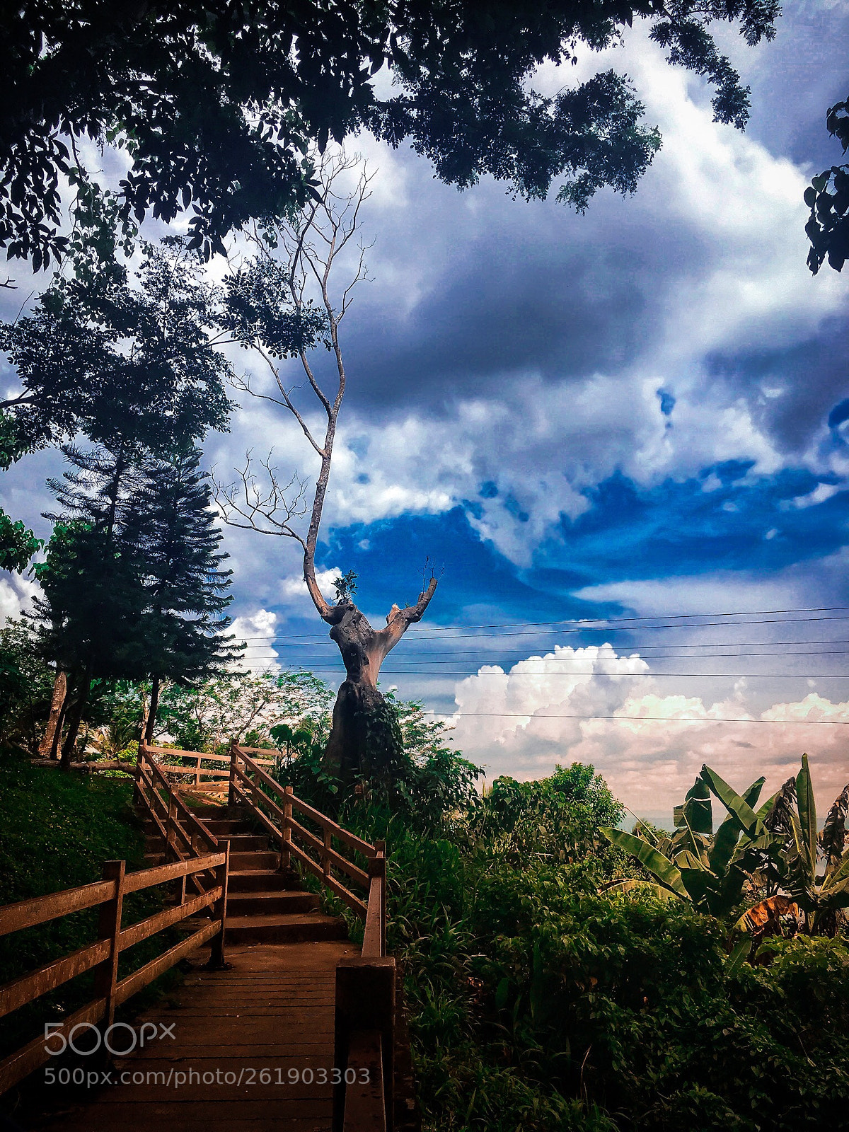 Apple iPhone 6s sample photo. Take me to wonderland photography