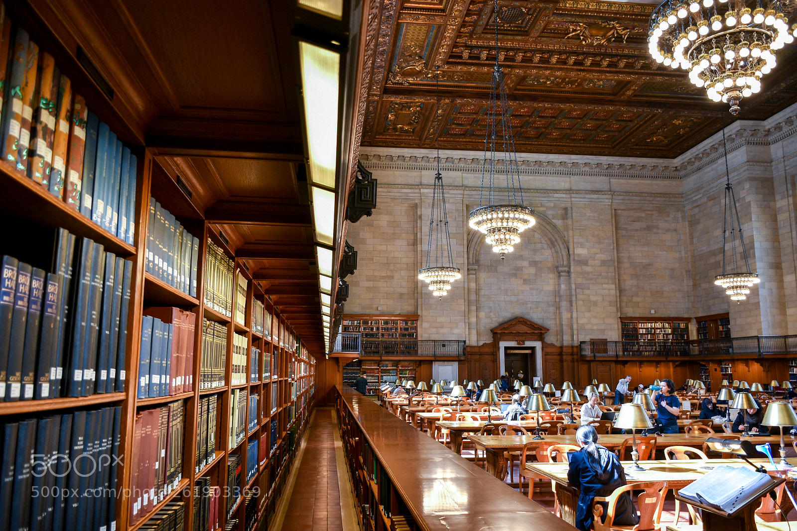 Nikon D7200 sample photo. Famous new york public photography