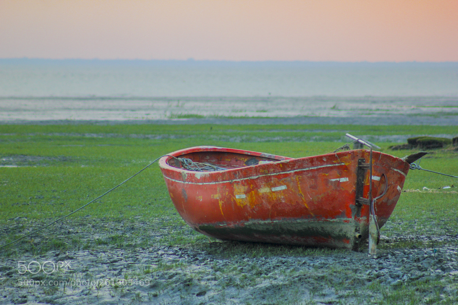 Canon EOS 60D sample photo. Img photography