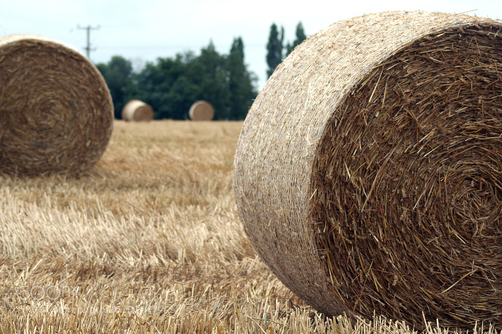 Canon EOS 350D (EOS Digital Rebel XT / EOS Kiss Digital N) sample photo. Bales of hay photography