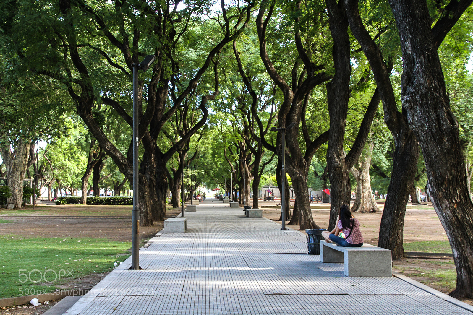 Canon EOS 7D sample photo. Peaceful path photography