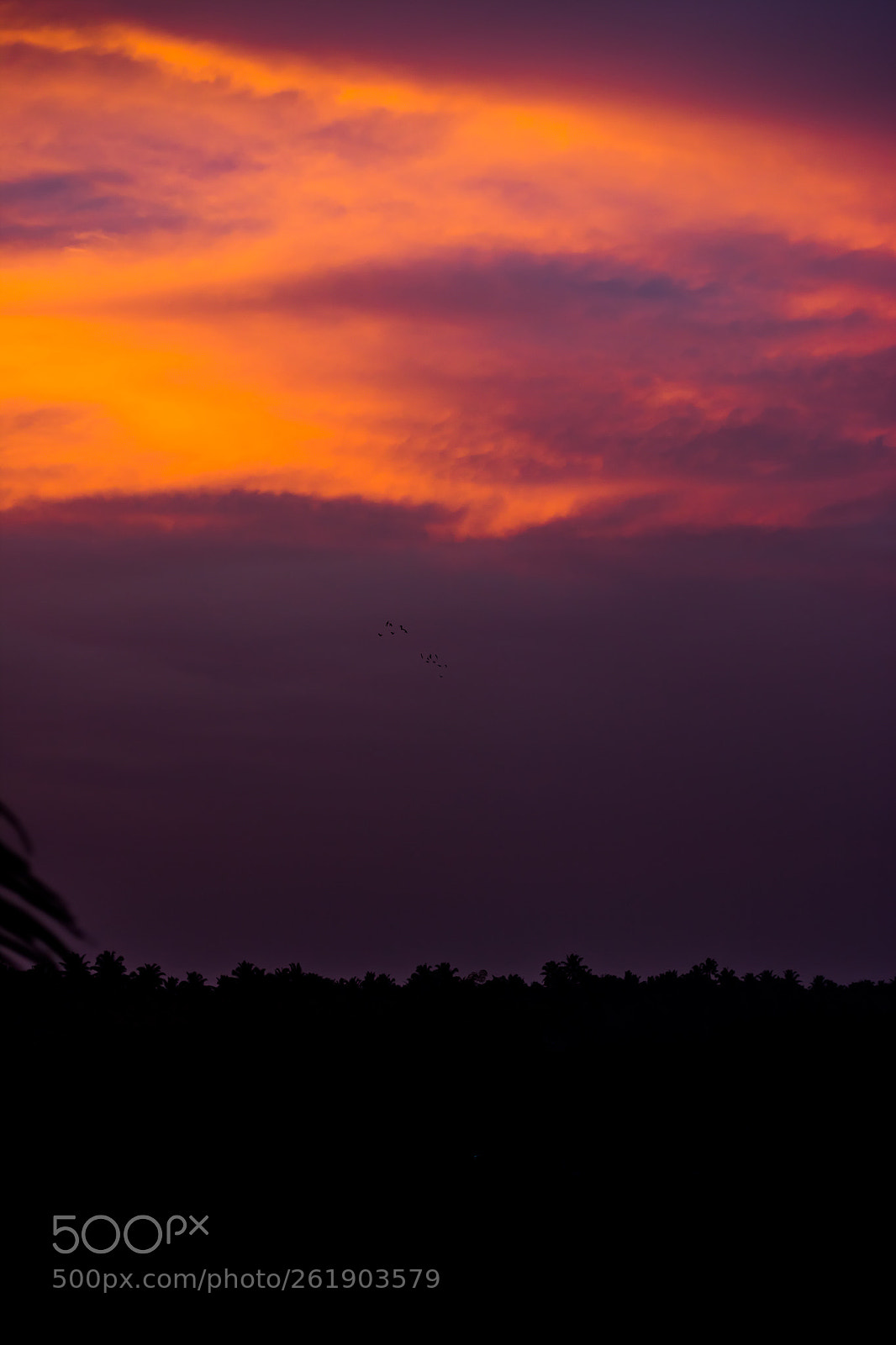 Canon EOS 70D sample photo. Mg photography