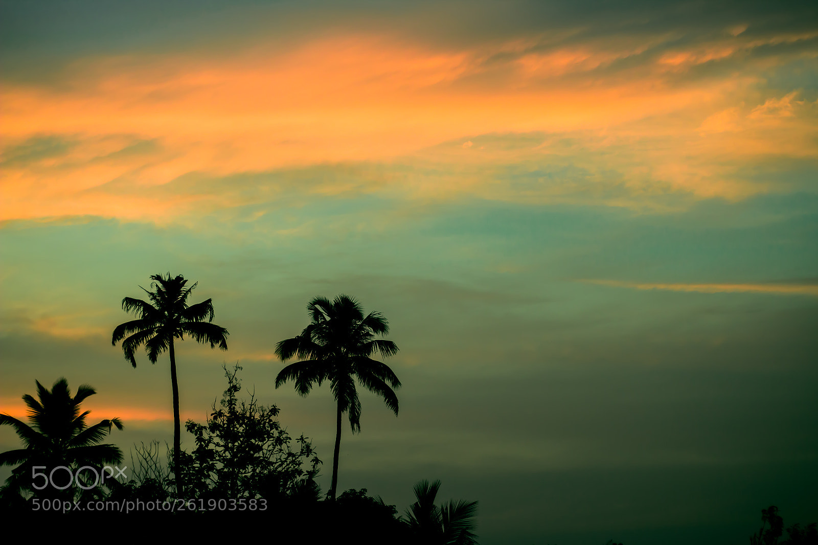 Canon EOS 70D sample photo. Mg photography