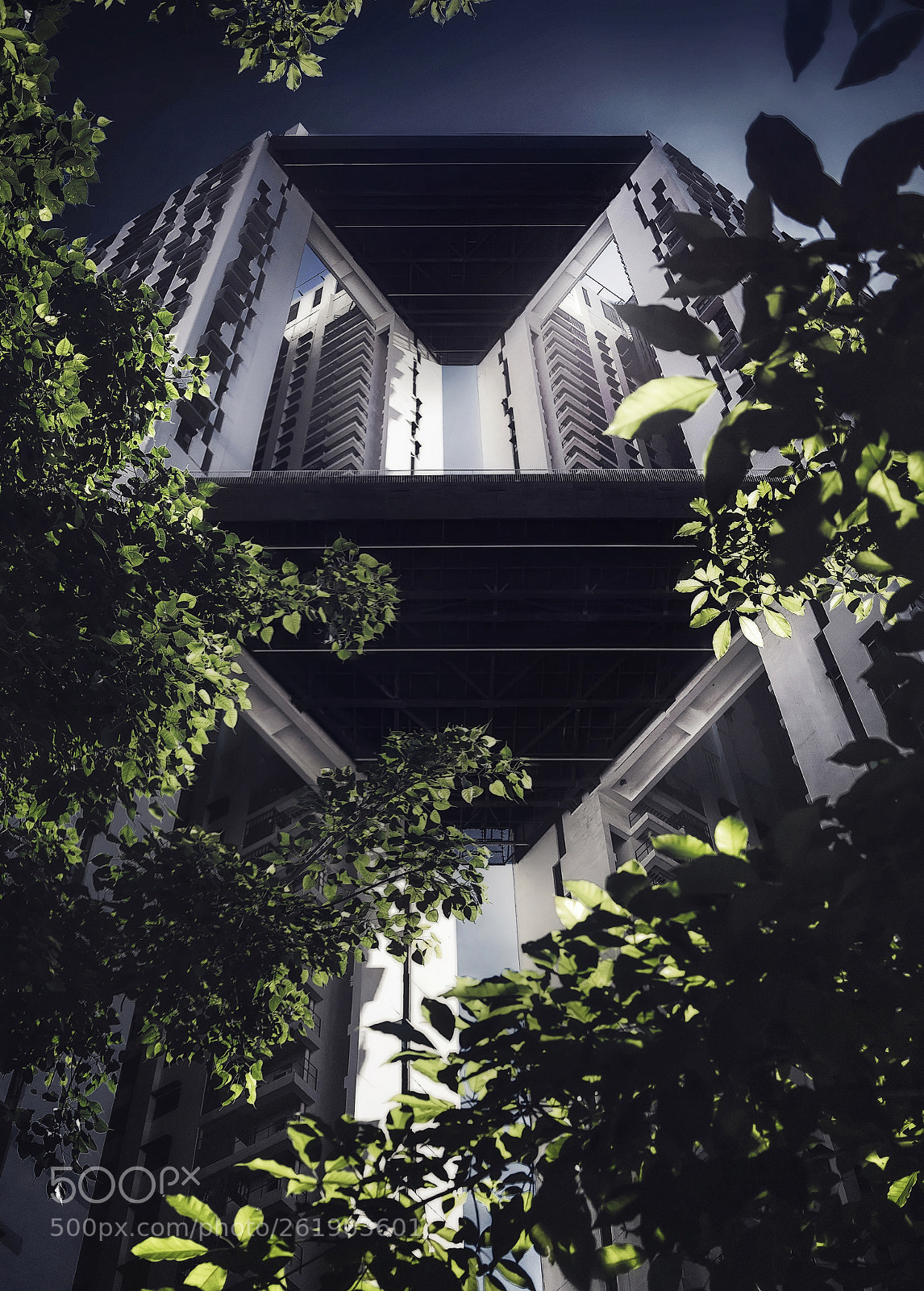 Nikon D600 sample photo. Solaris photography