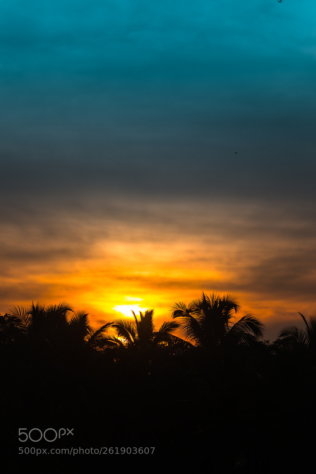Canon EOS 70D sample photo. Mg photography