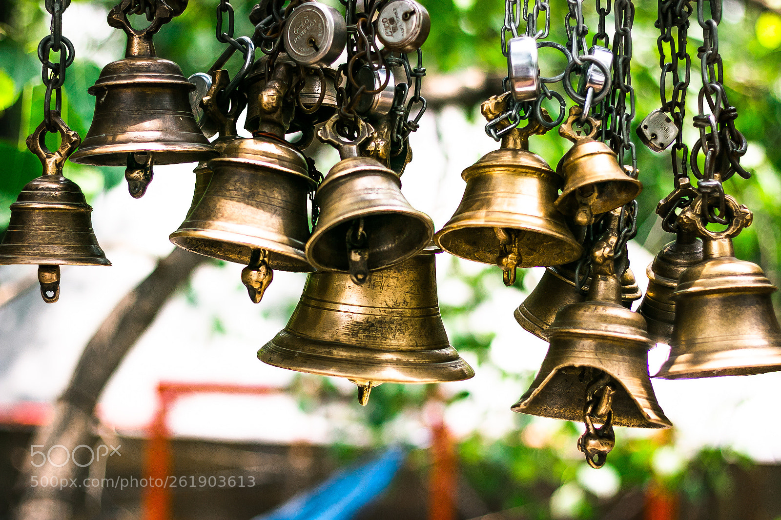 Canon EOS 70D sample photo. Mg photography