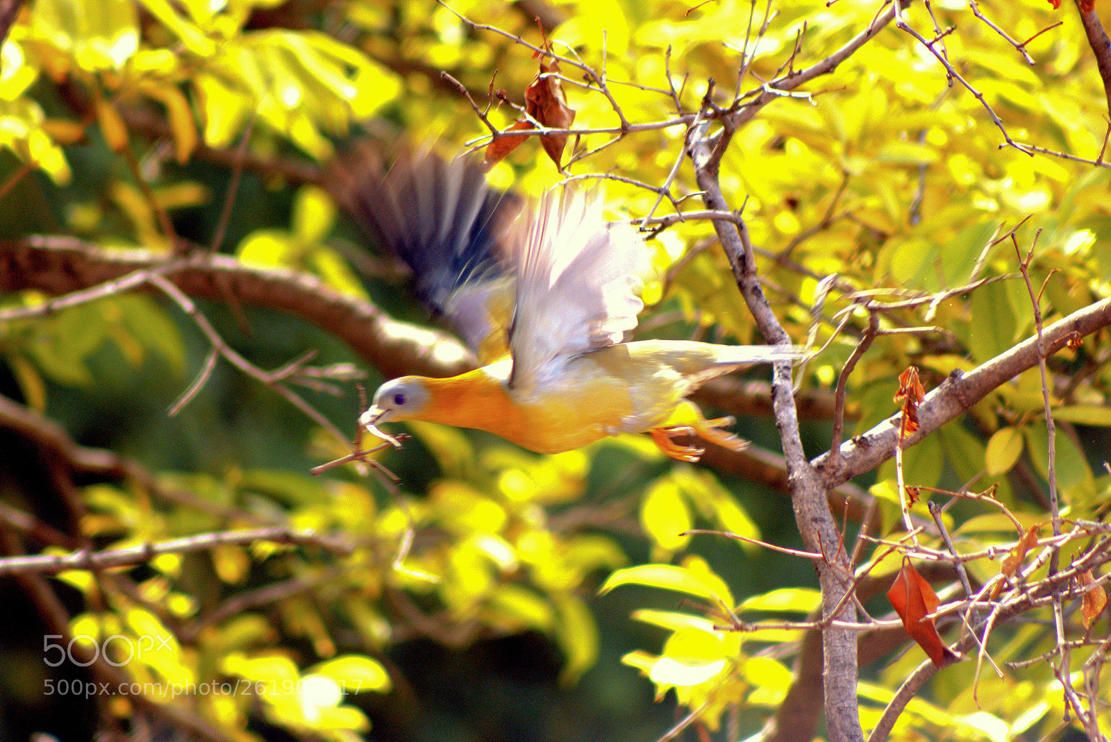 Canon EOS 70D sample photo. Im photography