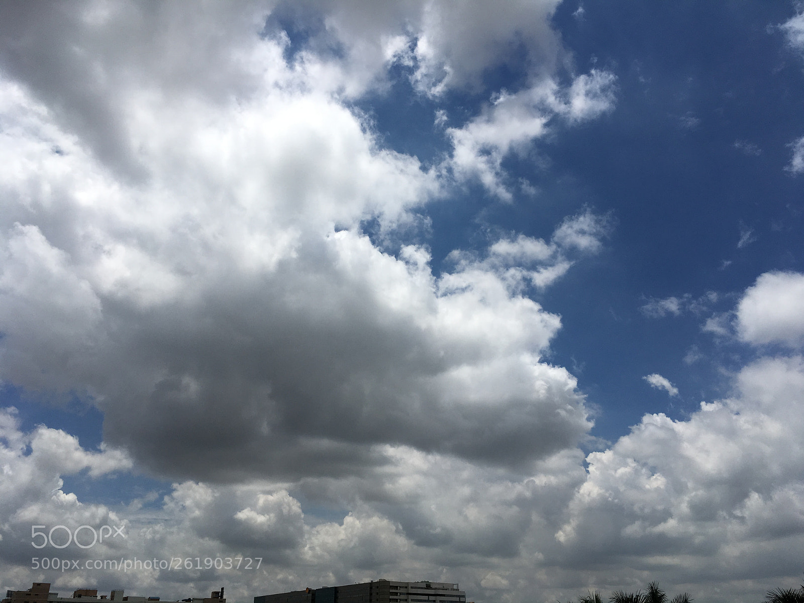Apple iPhone 6s sample photo. Img photography