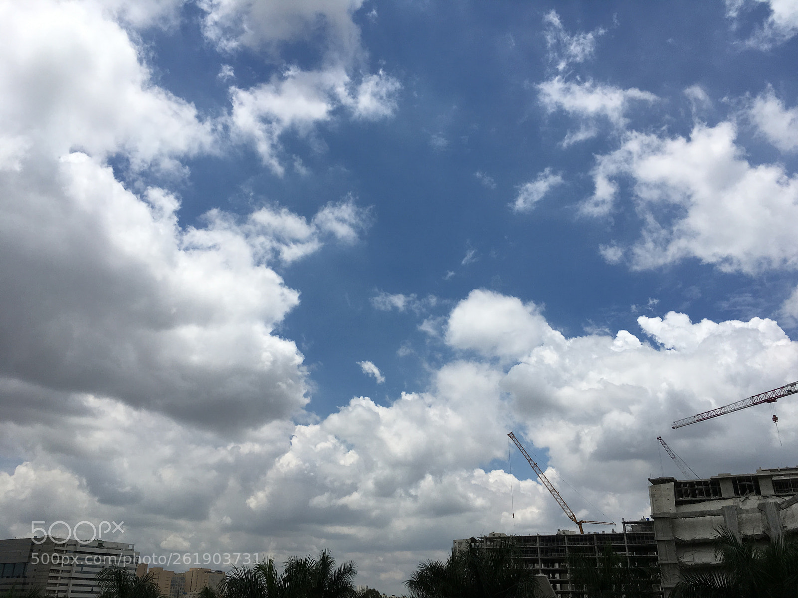Apple iPhone 6s sample photo. Img photography