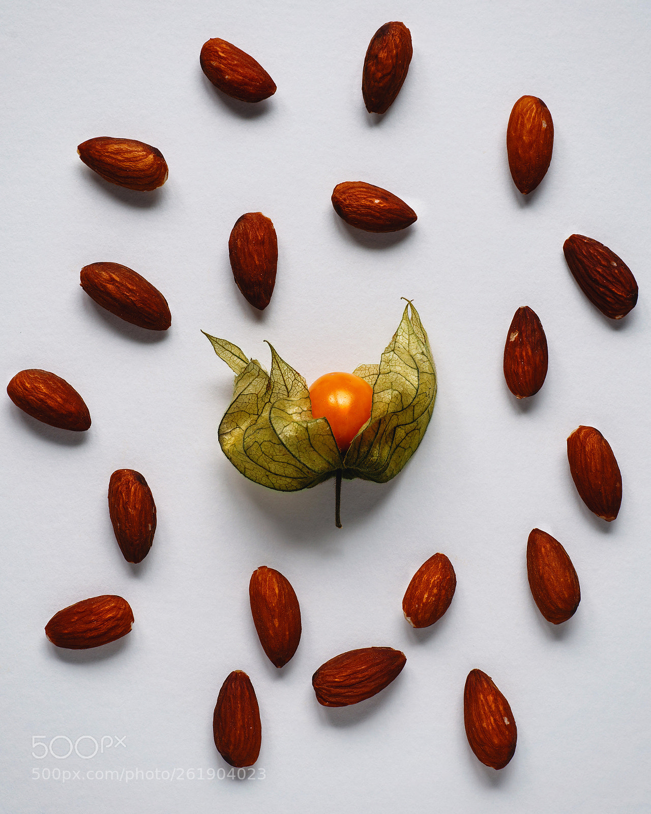 Nikon D800E sample photo. Physalis photography