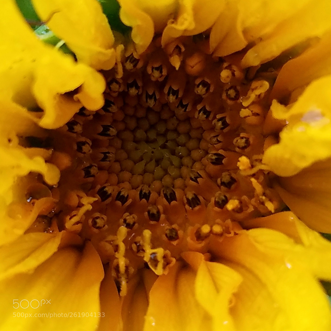 Samsung Galaxy S7 sample photo. Untitled photography