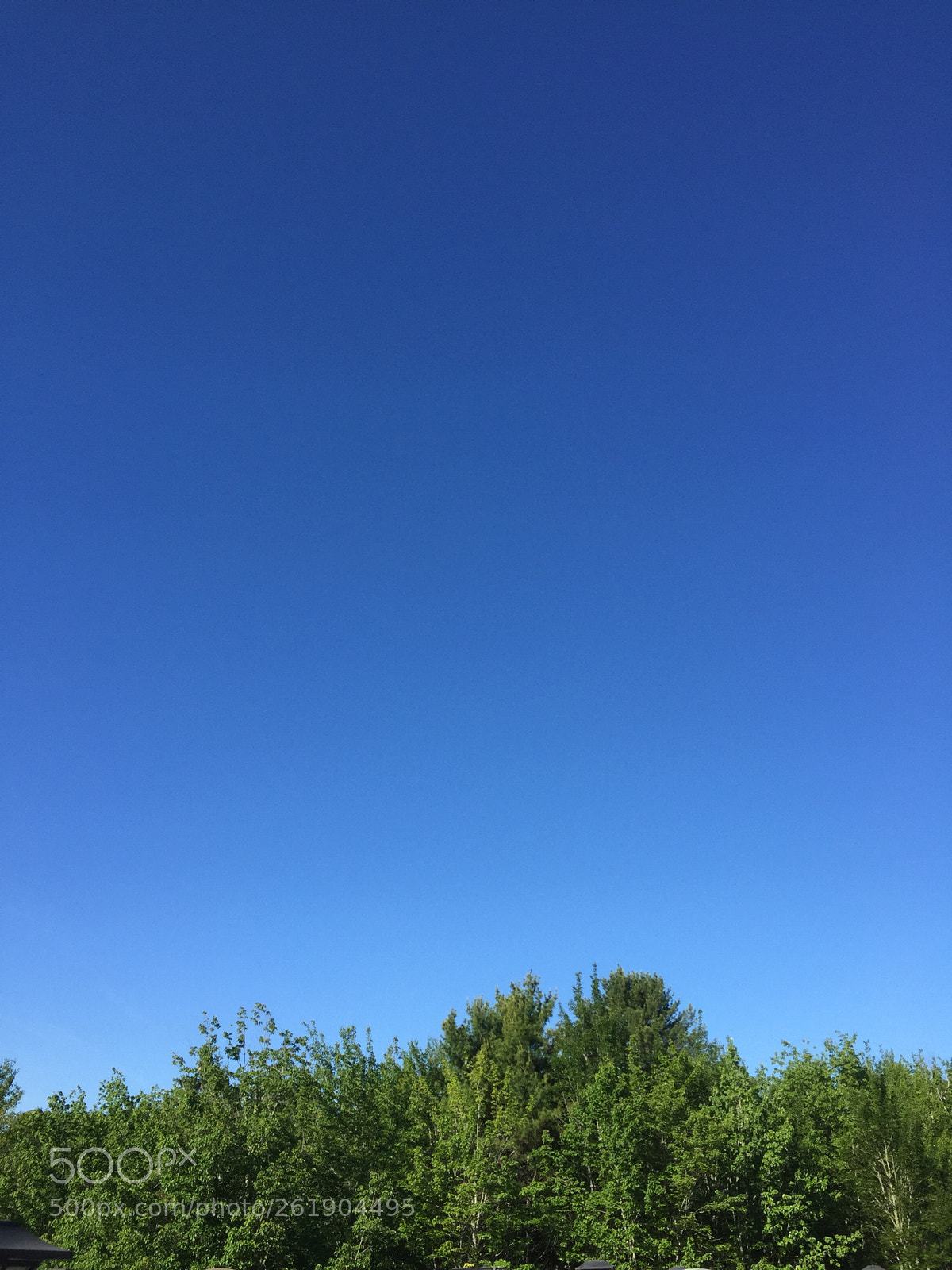 Apple iPhone 6 sample photo. Blue sky photography