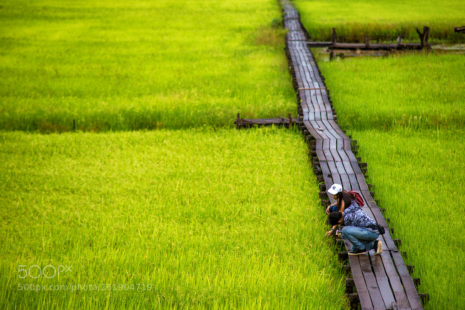 Canon EOS 6D sample photo. Img photography