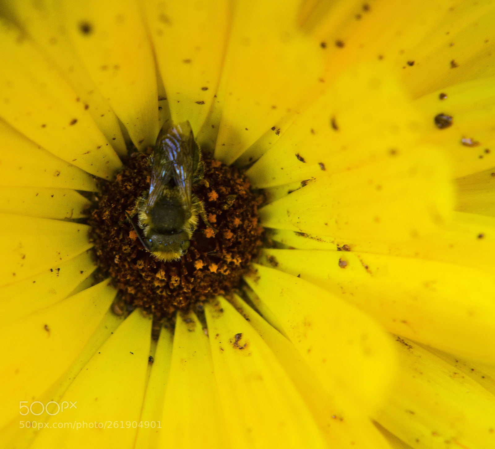 Nikon D7100 sample photo. Launch time, the unseen photography