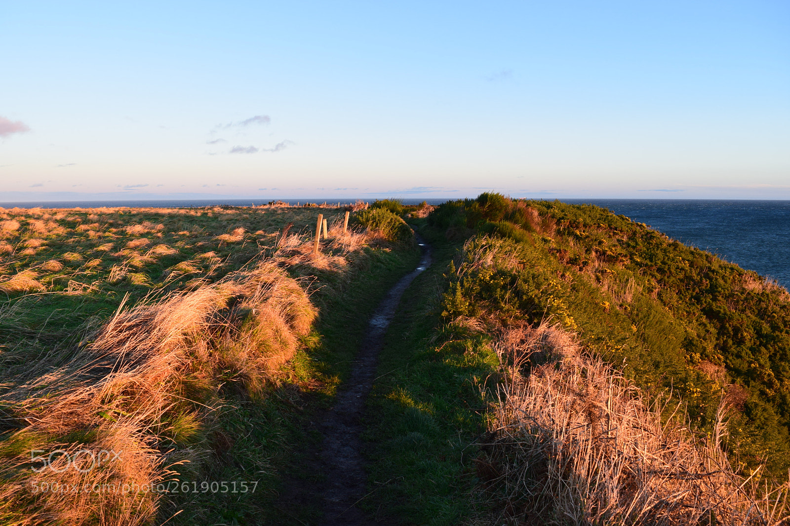 Nikon D5300 sample photo. Clifftop walk photography