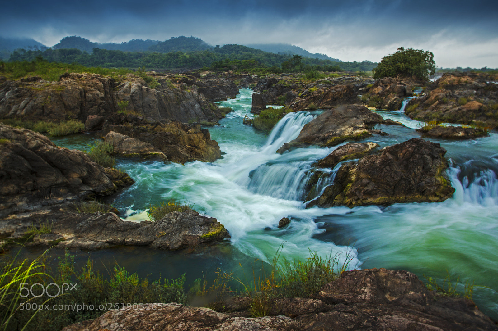 Canon EOS 5D Mark II sample photo. Si phan don photography