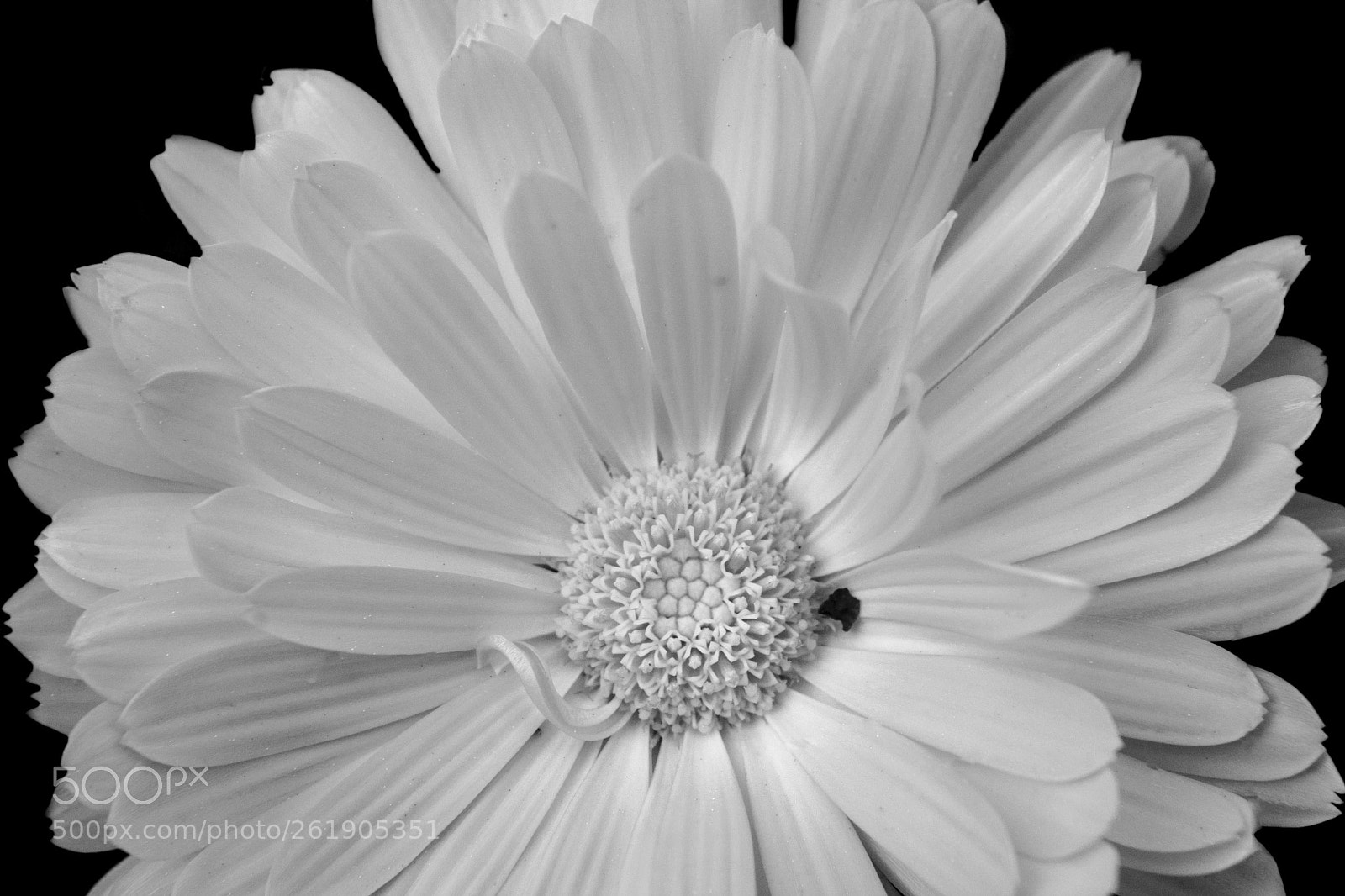 Nikon D7100 sample photo. The unseen beauty of photography