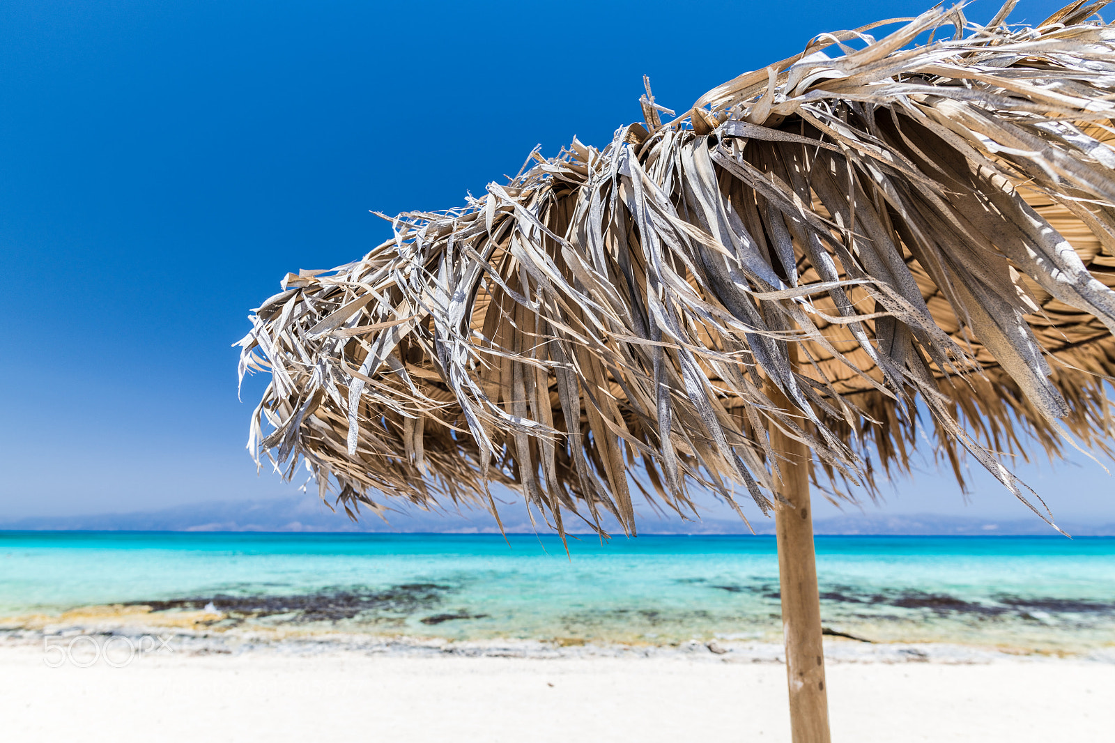 Nikon D850 sample photo. Beach umbrella photography