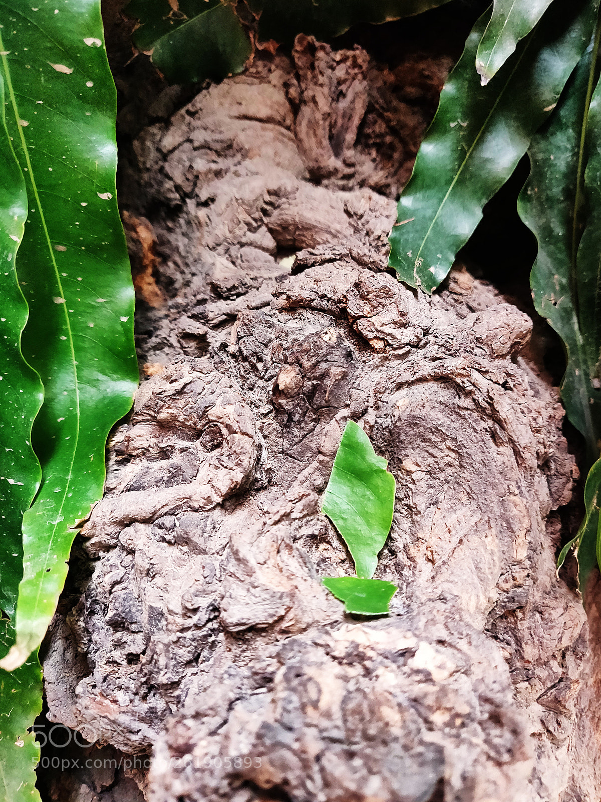 OnePlus A6000 sample photo. Untitled photography