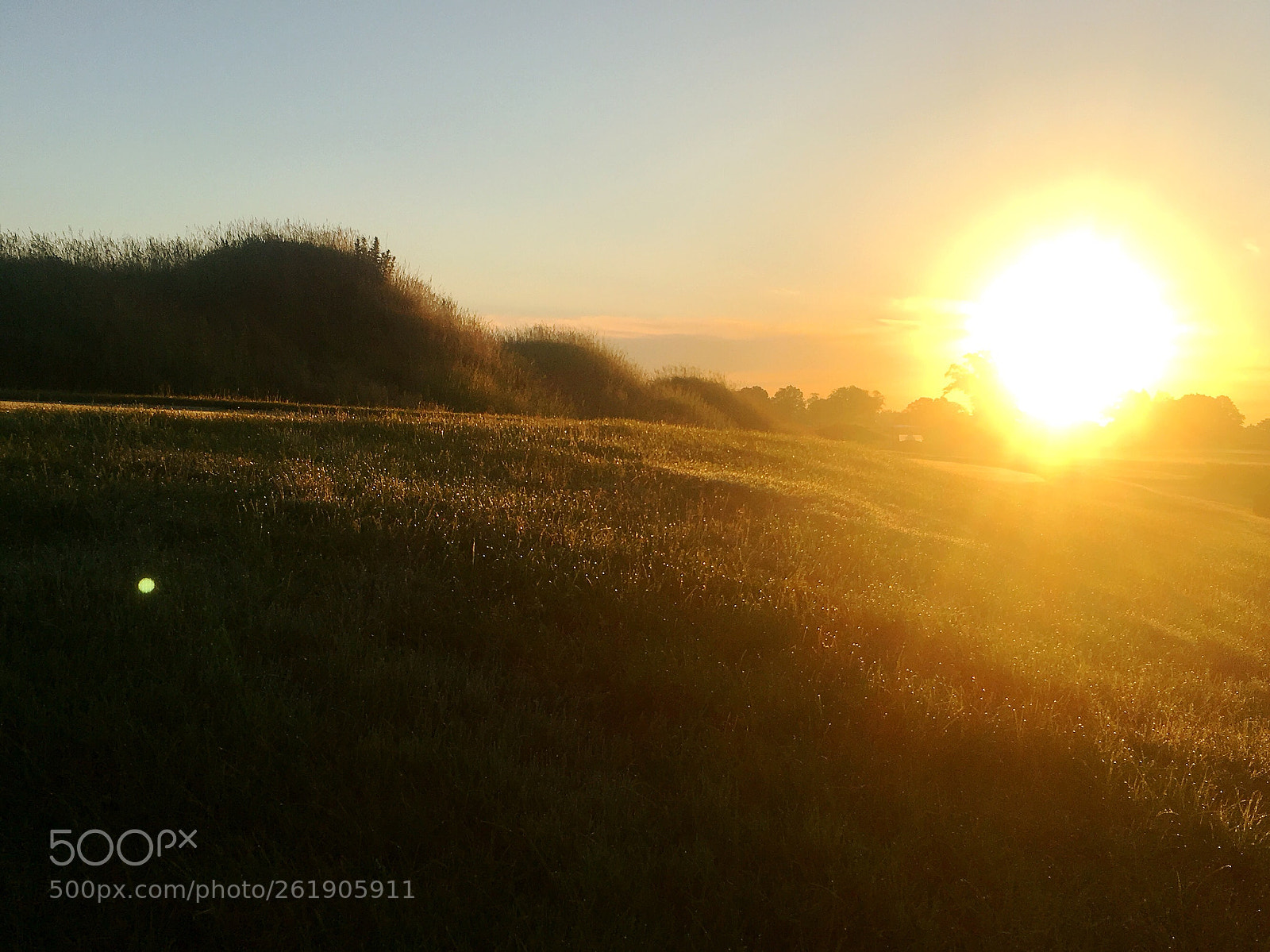 Apple iPhone 6s sample photo. Morning 0 photography
