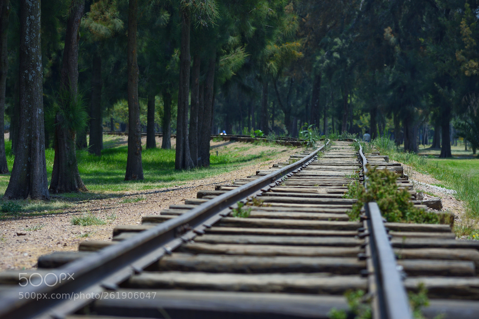 Nikon D3400 sample photo. Untitled photography