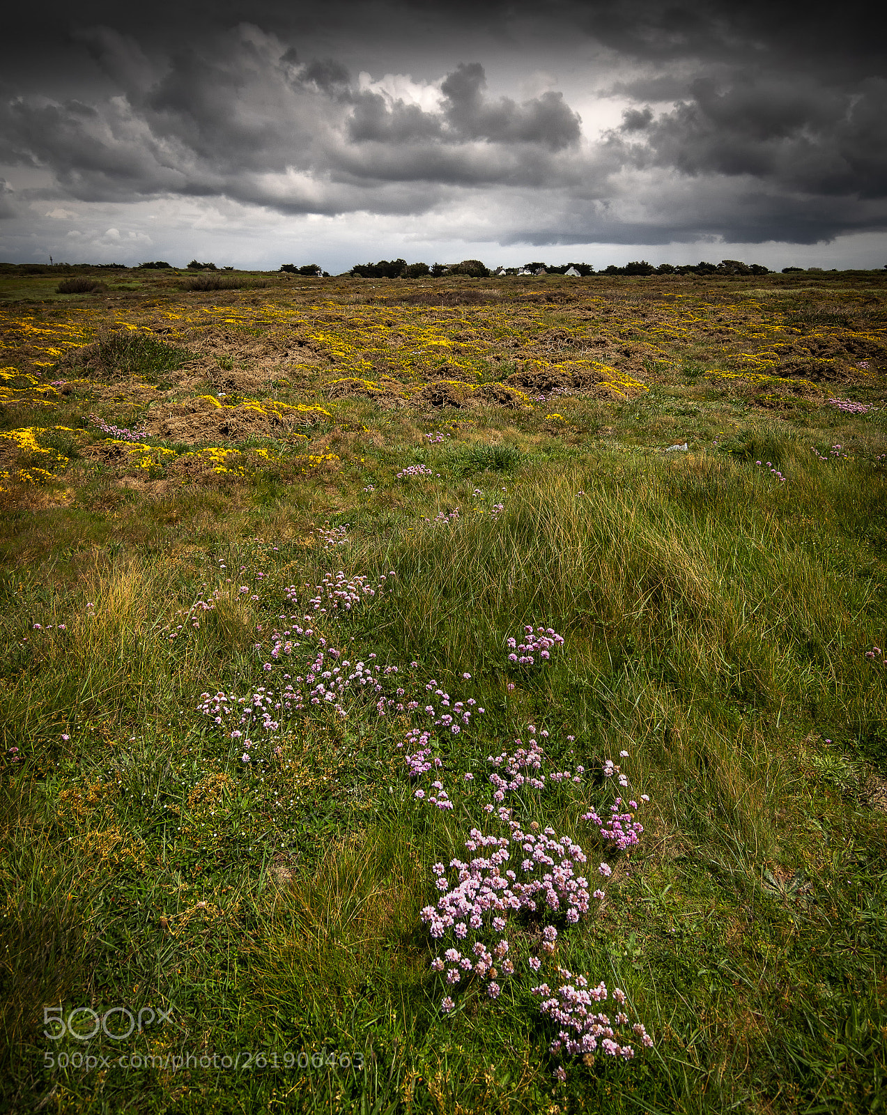 Pentax K-3 sample photo. Quiberon. la lande photography