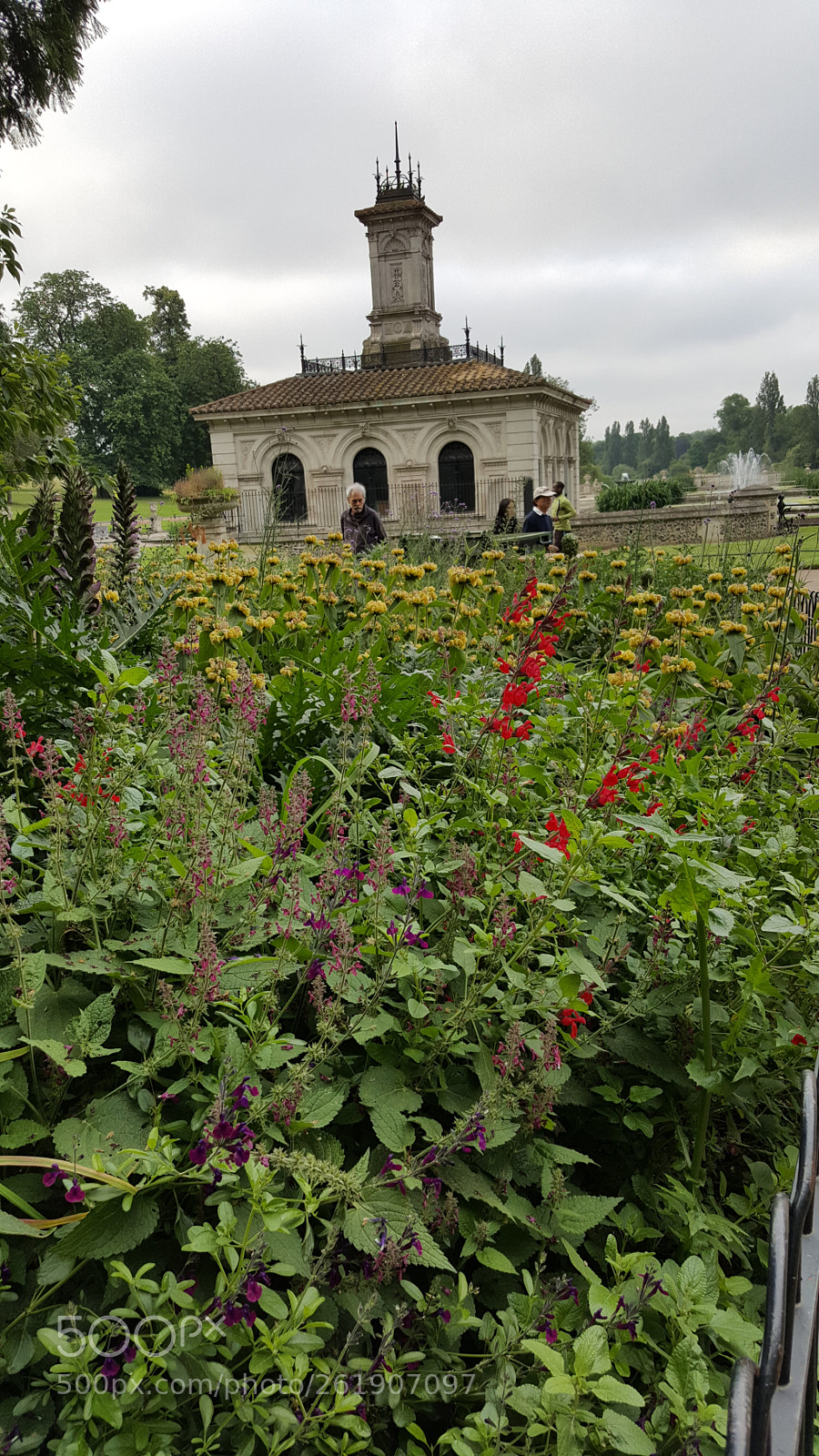 Samsung Galaxy S6 sample photo. Peering over the flora photography