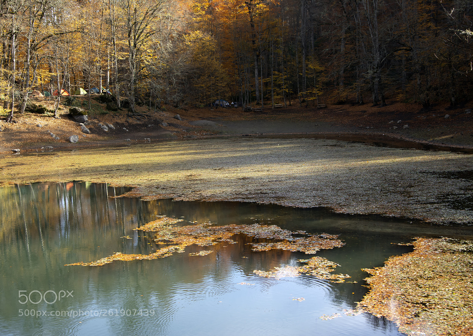 Nikon D7100 sample photo. Orman ve göl photography