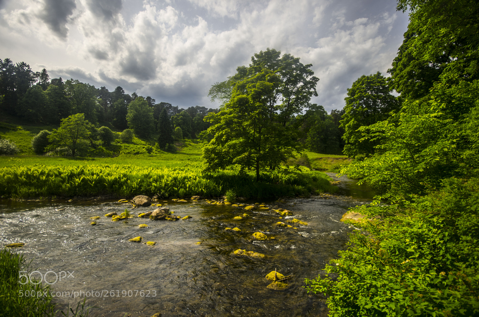 Pentax K-5 sample photo. Noisy river photography