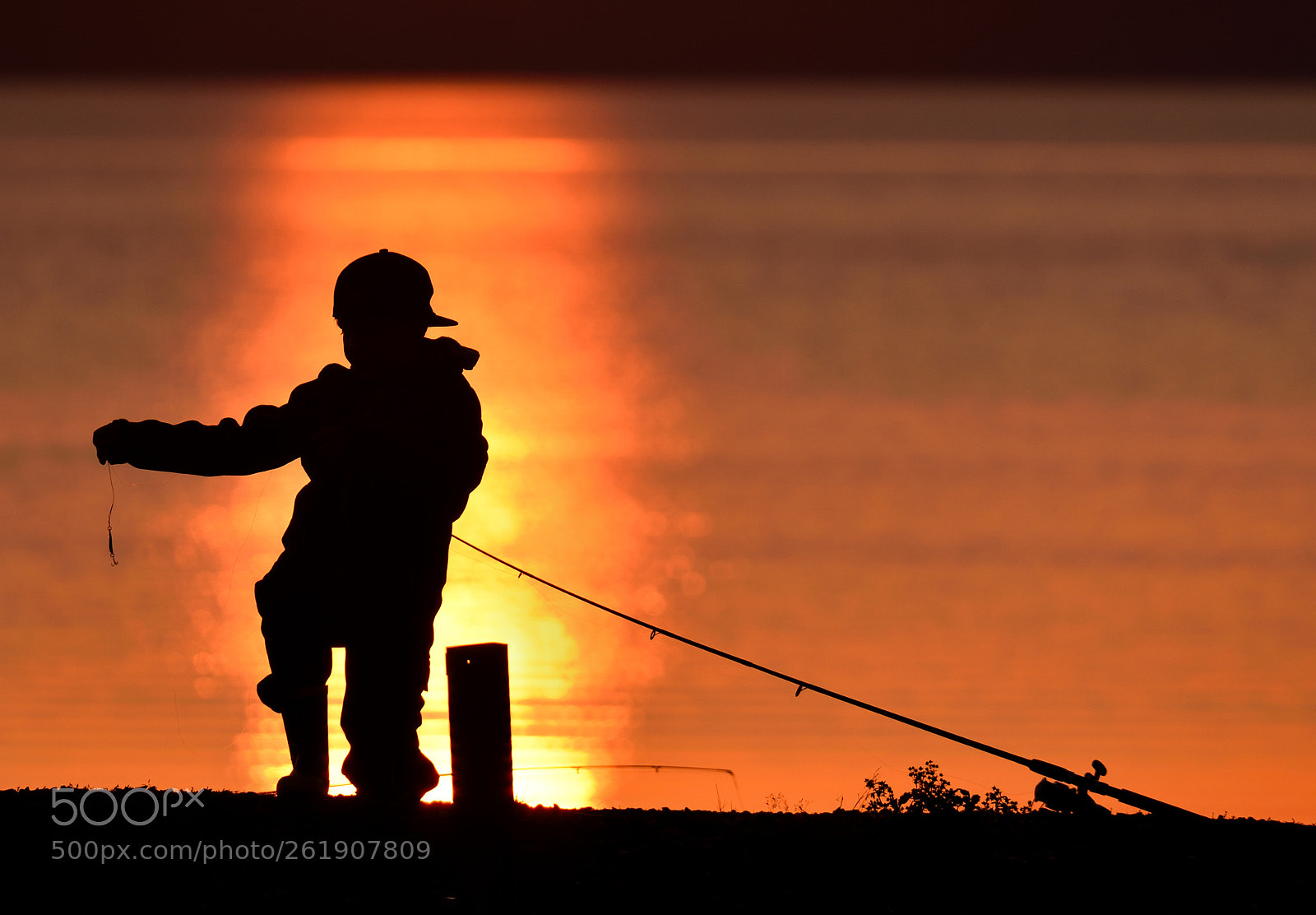 Sigma 150-600mm F5-6.3 DG OS HSM | S sample photo. Little fisherman photography
