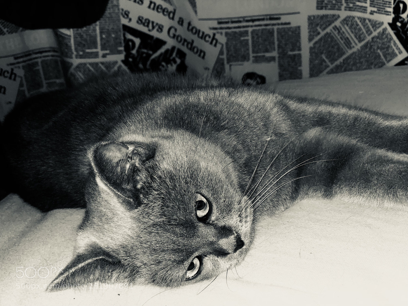 Apple iPhone X sample photo. Untitled photography
