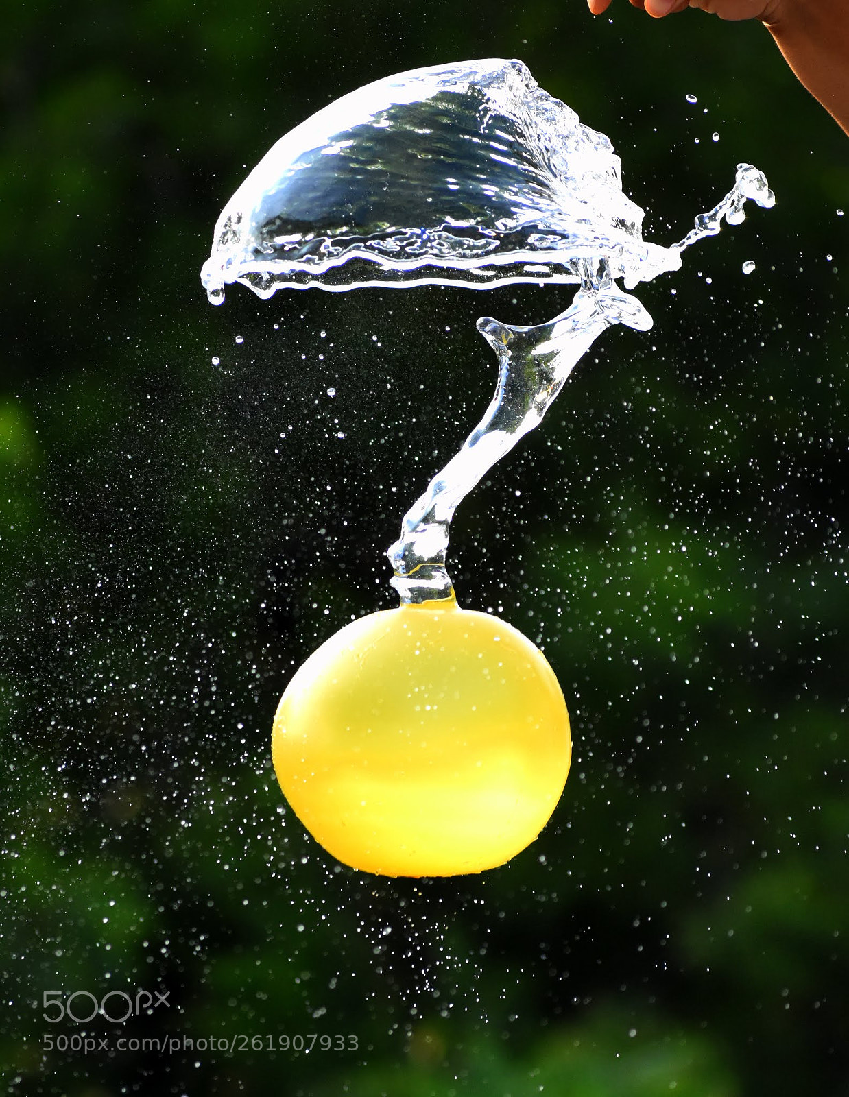 Nikon D7200 sample photo. Untitled photography