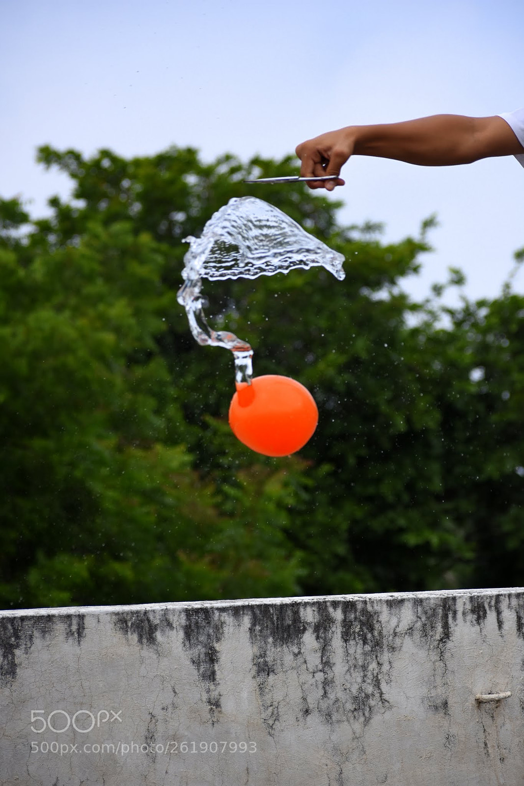 Nikon D7200 sample photo. Untitled photography